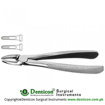 English Pattern Tooth Extracting Forcep Fig. 113 (For Upper Roots) Stainless Steel, Standard